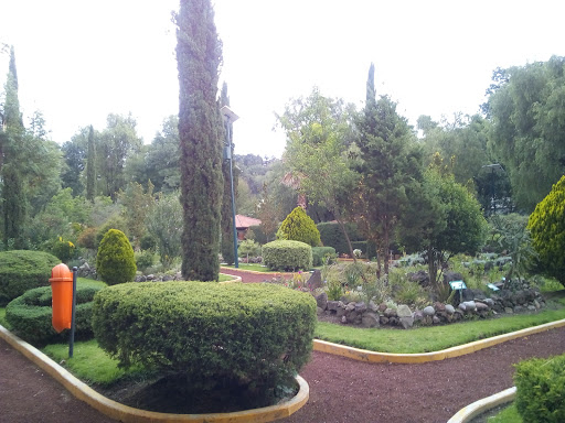 Jardín Botánico de Tizatlán, Camino Real, Tlaxcala de Xicohtencatl, Santa María Ixtulco, 90105 Santa María Ixtulco, Tlax., México, Jardín botánico | TLAX