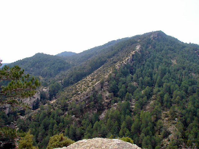 Senderismo - Coll de la Creu - Punta Boixet - Alt de la Coscollosa - Barranc de la Coscollosa