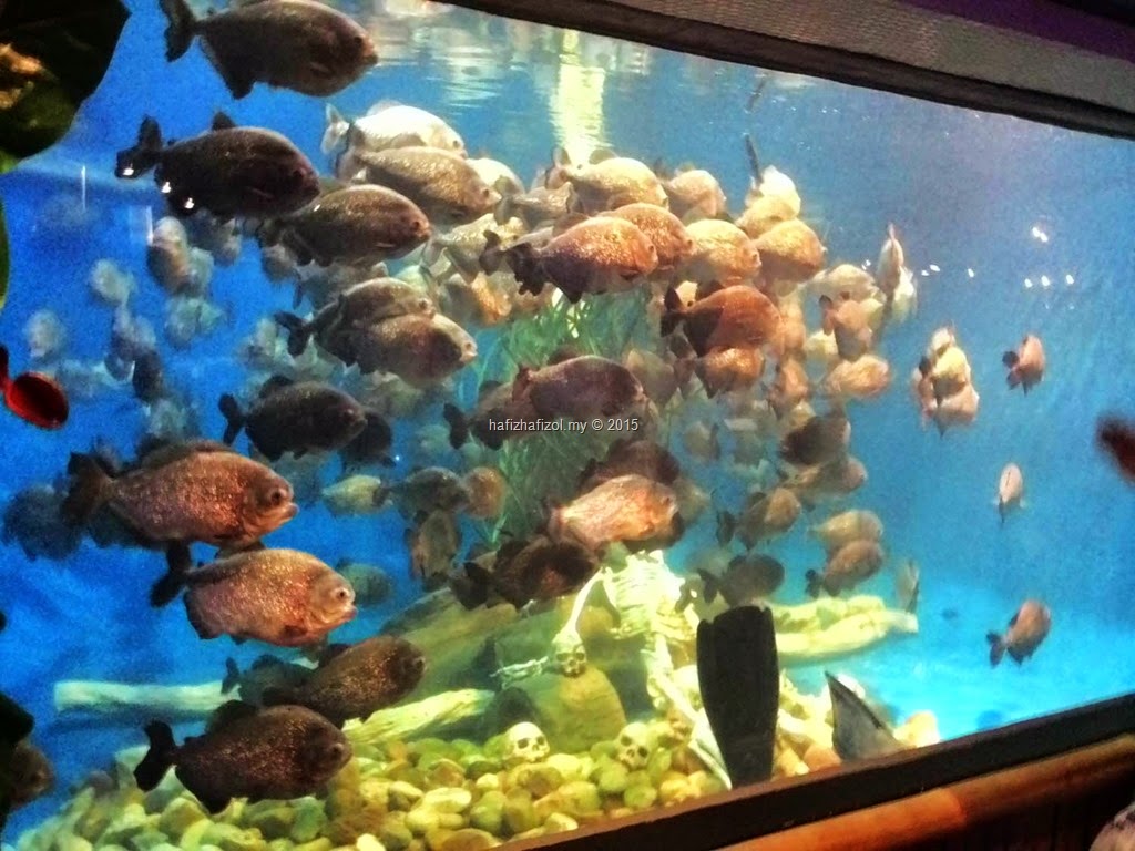 [ikan-aquaria-klcc9.jpg]