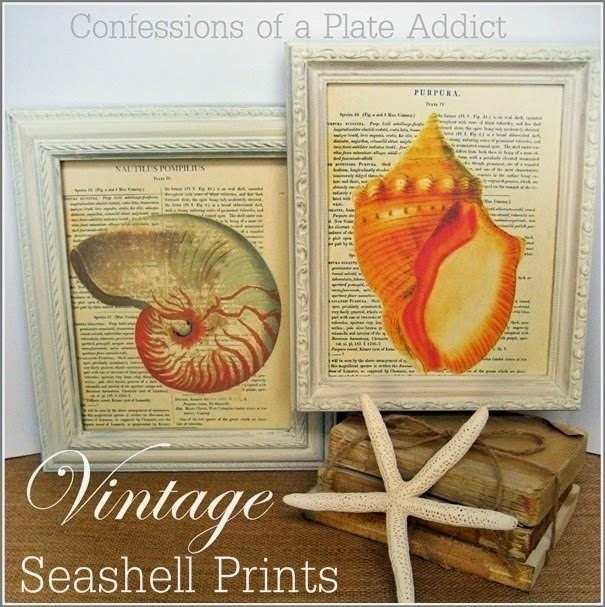CONFESSIONS OF A PLATE ADDICT Framable Vintage Seashell Prints