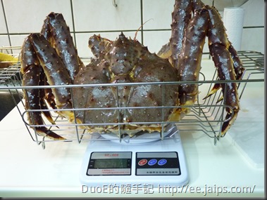 秤重-北海道鱈場蟹3.2公斤