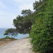 Mallorca 2009 005.jpg