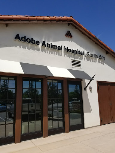 Animal Hospital «Adobe Animal Hospital South Bay», reviews and photos