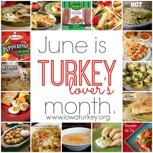 turkey lover's month collage