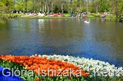 1 .Glória Ishizaka - Keukenhof 2015 - 47