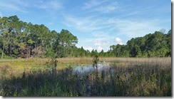 Small pond by Lake Proctor