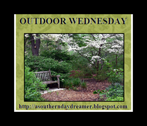 Outdoor-Wednesday-logo_thumb4_thumb1[1]