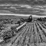 21 aprile 2014 Castiglione Tinella - fotografia di Vittorio Ubertone