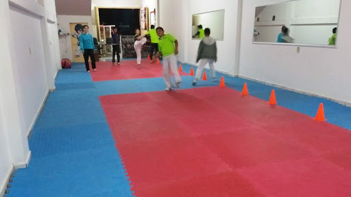 jidokwan calera, 98500 Centro,, Prof. José Reyes Ote. 203, Centro, Zac., México, Centro deportivo | ZAC