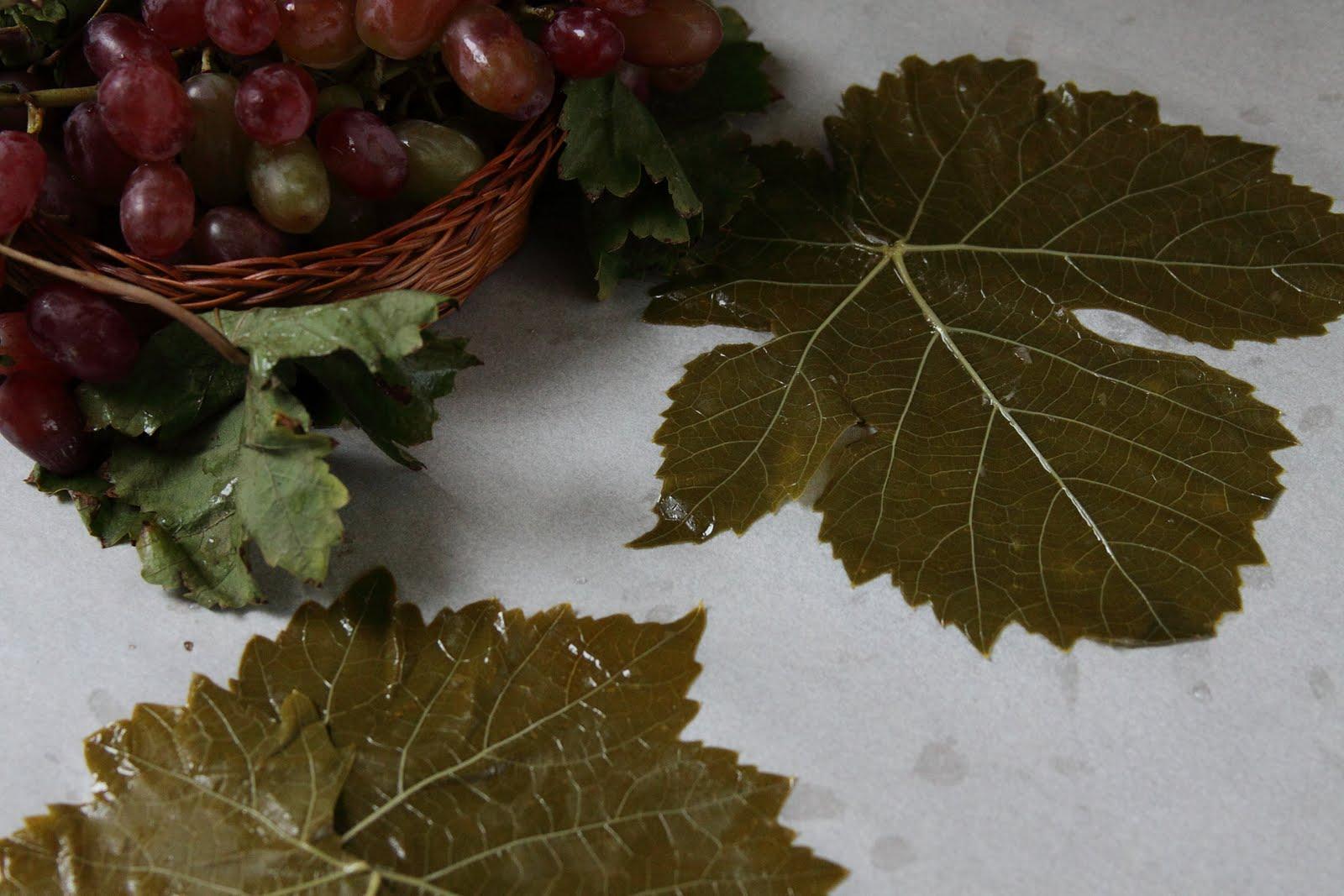 grape leaf wedding invitations