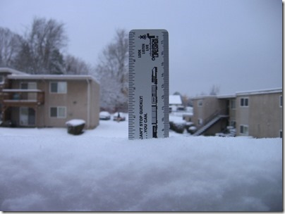 IMG_4808 Snow in Milwaukie, Oregon on December 14, 2008