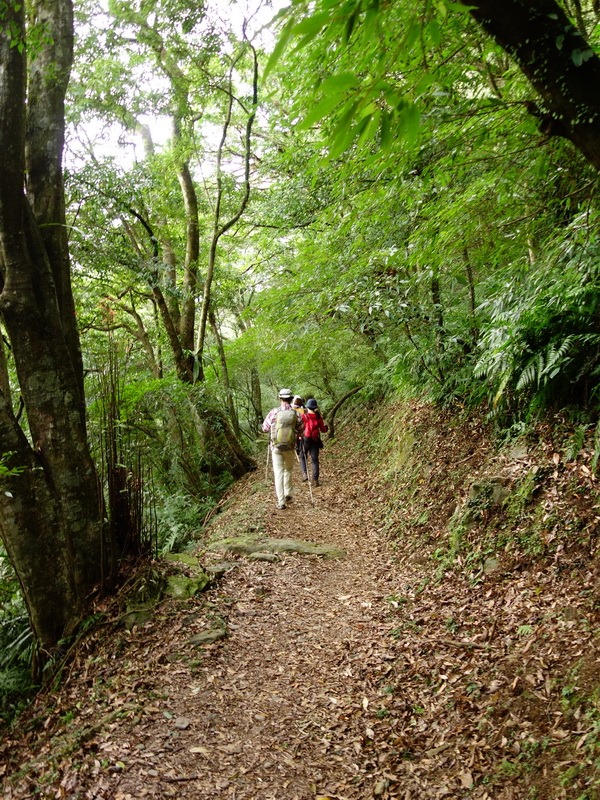 2013_1207 東滿步道→拉卡山→北插天山水源地_147