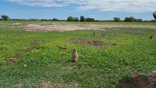 Wildlife Park «Prairie Dog Town», reviews and photos, MacKenzie Park Rd, Lubbock, TX 79401, USA
