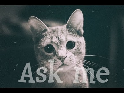 Ask me.