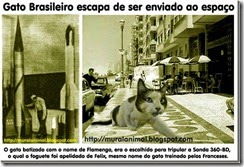 gato-espacial-brasileiro