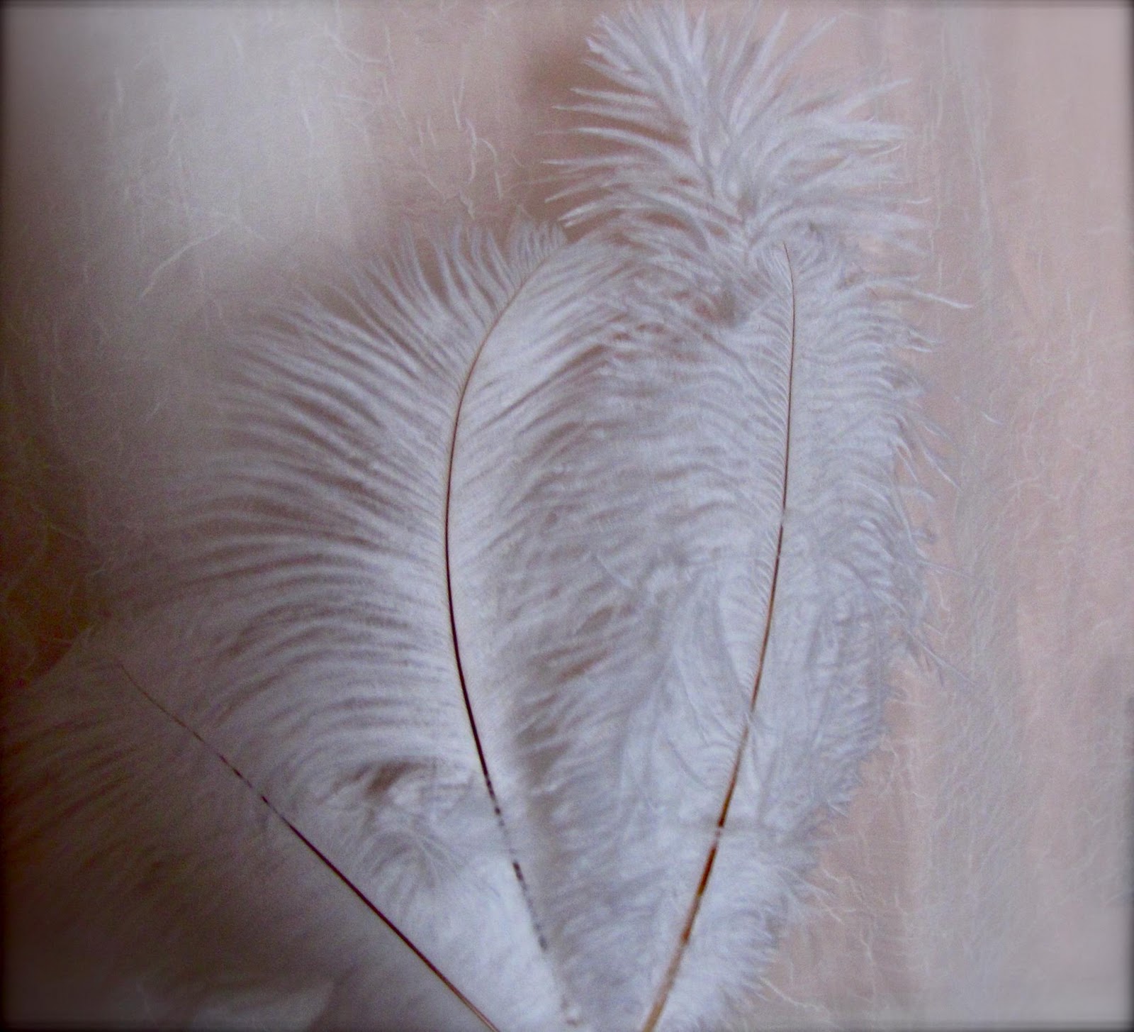 feather wedding centerpieces