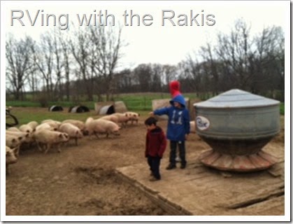 Visiting farms gives you a clearer understanding about where your food comes from and what sustainable really means. Editorial blog post from RVing with the Rakis