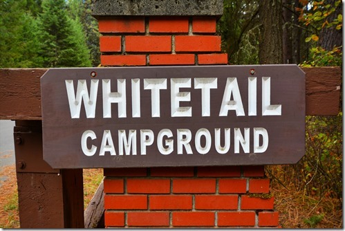 Whitetail Sign