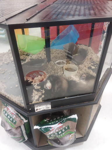 Pet Supply Store «Petco Animal Supplies», reviews and photos, 12551 Jefferson Ave #119, Newport News, VA 23602, USA