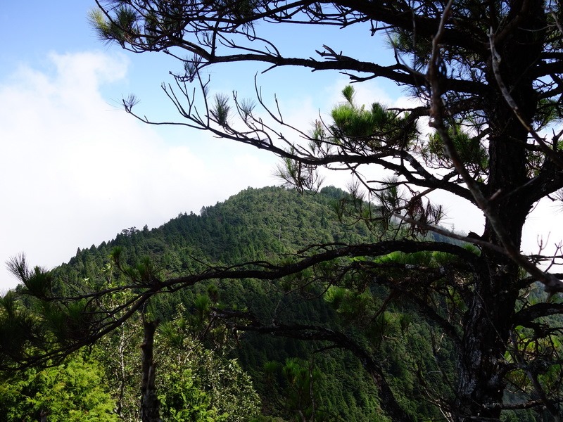 2013_0907-0908 遭遇困難‧遭難山_025