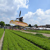 dagvandewind 2012 025.JPG