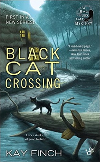 Black Cat Crossing by Kay Finch - Thoughts in Progress