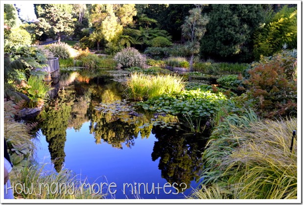 Royal Tasmanian Botanical Gardens ~ How Many More Minutes?