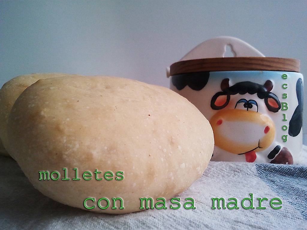 [Molletes%255B5%255D.jpg]