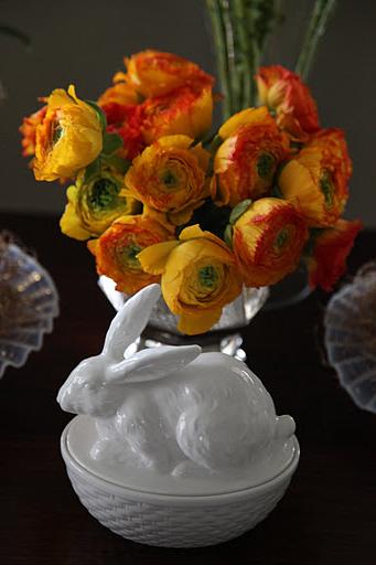 deep orange ranunculus.