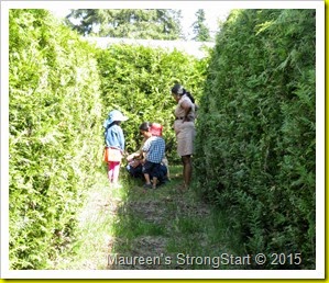 IMG_6339 IMG_6339