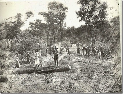 Obreros de la Forestal