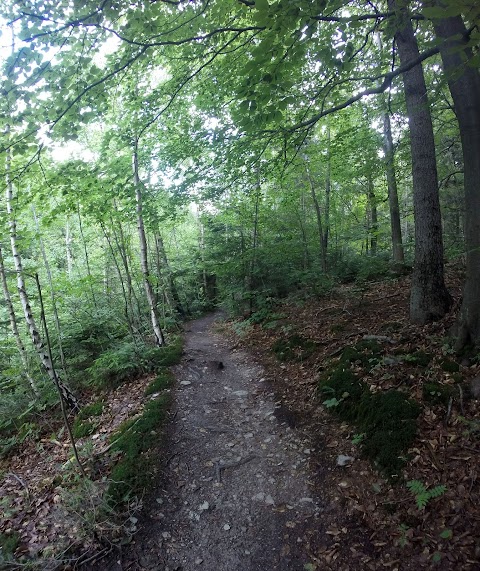 single trail na Jahodnej, pri ceste