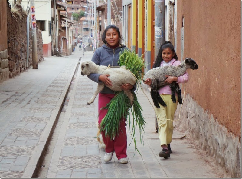 Pisac, Peru (7)