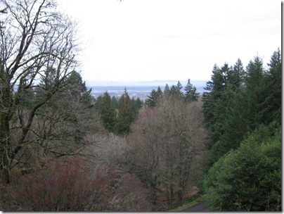 IMG_2373 View from the Hoyt Arboretum at Washington Park in Portland, Oregon on February 15, 2010