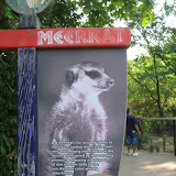 The Meerkat sign at the Nashville Zoo 09032011