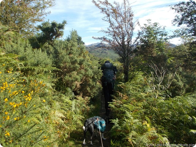 eskdale 028