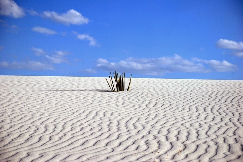 White Sands Desert, New Mexico (USA) White-sands-national-monument-8%25255B2%25255D