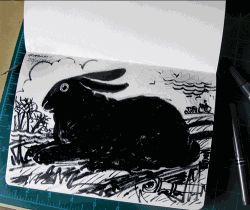black-rabbit black-rabbit