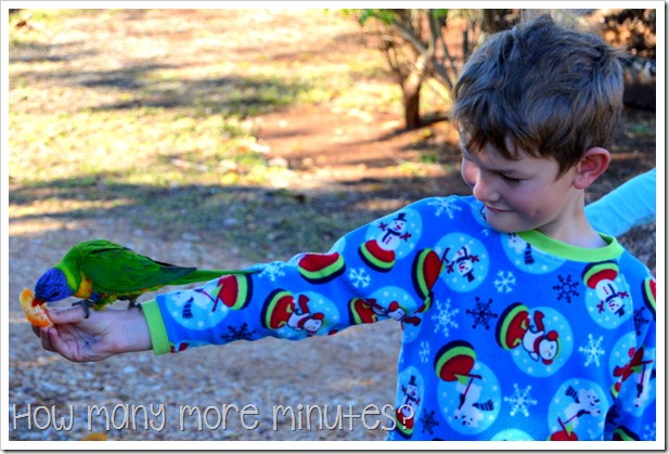 Breakfast With the Birds | How Many More Minutes?