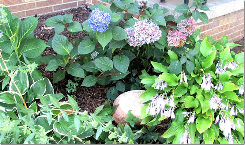 Showcasing the colors of a Fall Garden