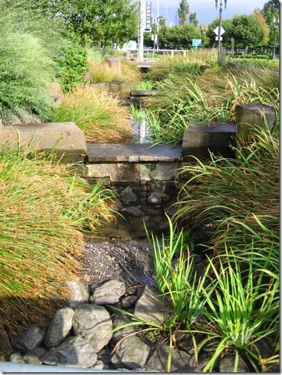 IMG_3225 Rain Garden at the Oregon Convention Center in Portland, Oregon on August 31, 2008