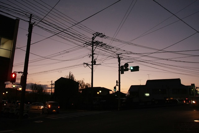 IMG_7572 IMG_7572