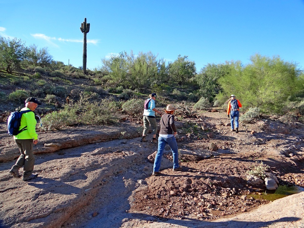 [Surprise-AZ-1st-hike-Wild-Burro-trai%255B20%255D.jpg]