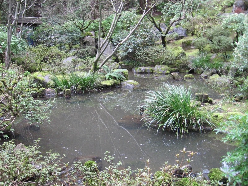 [IMG_2570%2520Pond%2520in%2520the%2520Natural%2520Garden%2520at%2520the%2520Portland%2520Japanese%2520Garden%2520at%2520Washington%2520Park%2520in%2520Portland%252C%2520Oregon%2520on%2520February%252027%252C%25202010%255B2%255D.jpg]