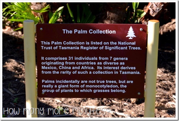 Royal Tasmanian Botanical Gardens ~ How Many More Minutes?