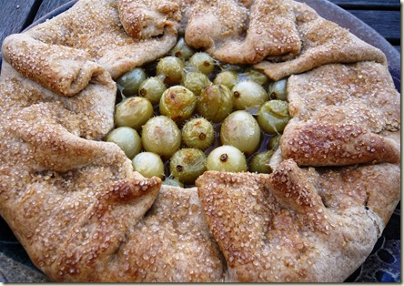 rustic gooseberry tart3