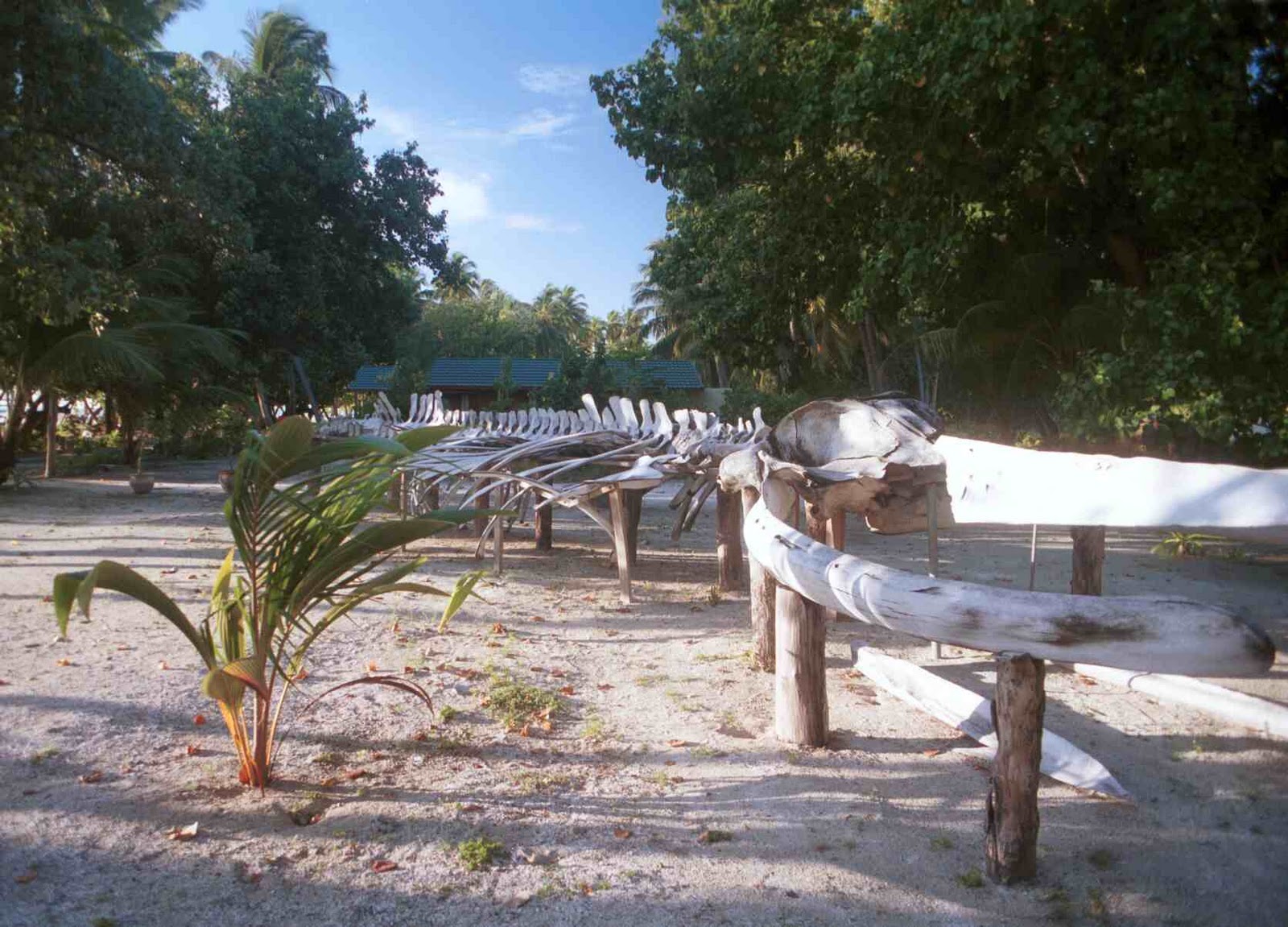 The second half of our honeymoon was spent in the Maldives