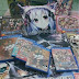 Dec games handson