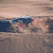 Dakar2016_Loeb_02.jpg