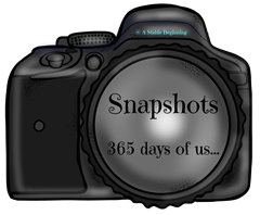 Snapshots 365